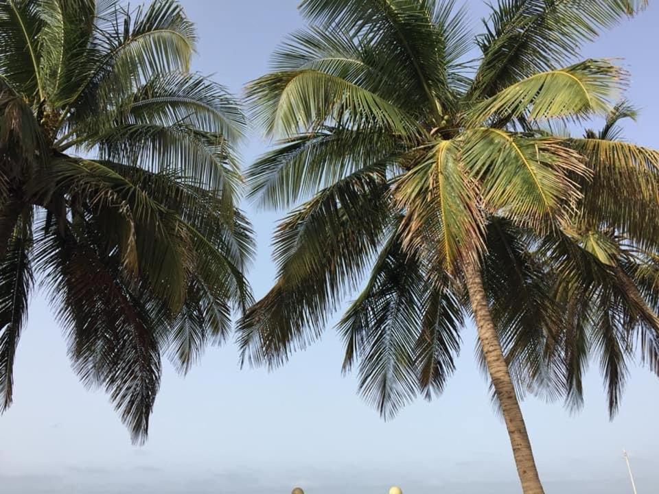 West African Beach Saly Bagian luar foto